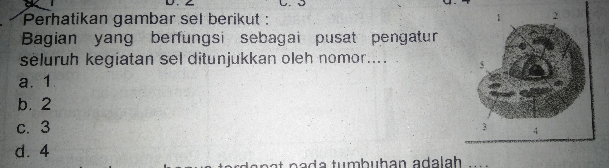 Perhatikan gambar sel berikut Bagian yg berfungsi sebagai pusat
