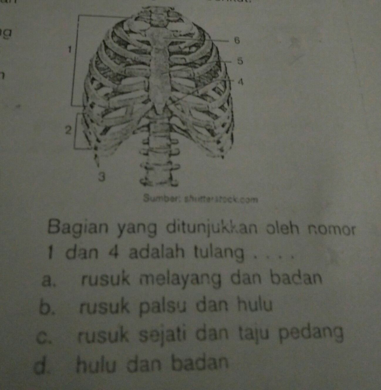 bagian yg ditunjukkan oleh nomor 1 dan 4 adalah tulang.... Brainly.co.id