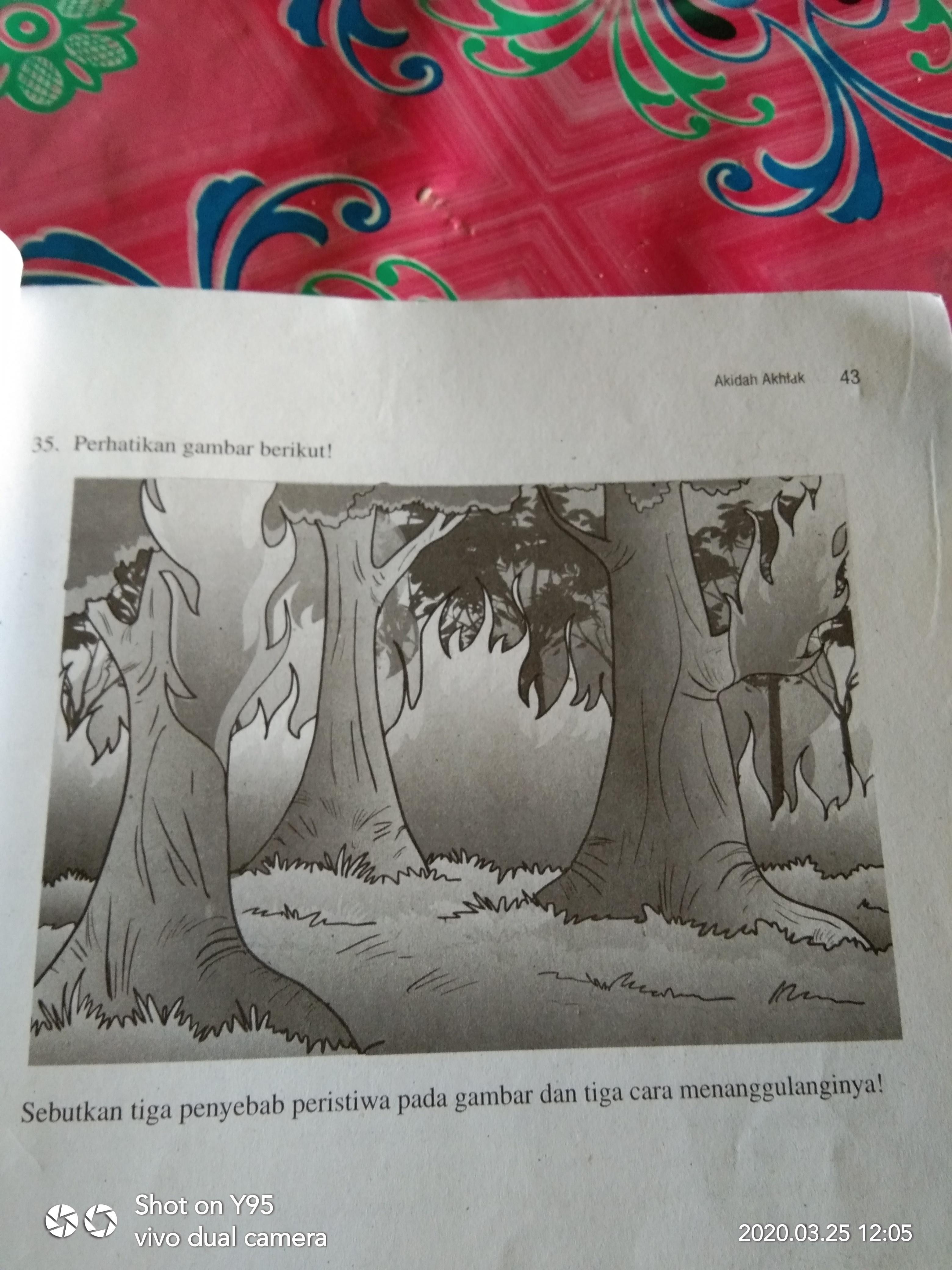 Sebutkan tiga penyebab peristiwa pada gambar dan tiga cara