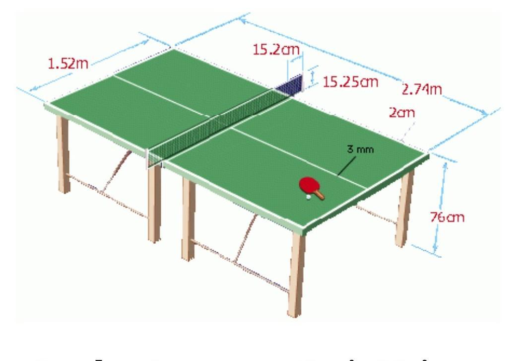 Gambar Dan Ukuran Lapangan Tenis Meja Hal