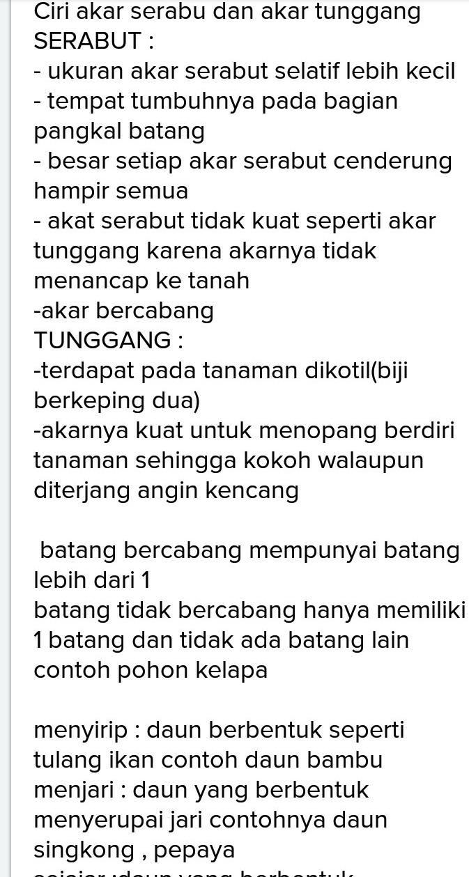 Dari Hasil Pengamatanmu Buatlah Satu Pertanyaan Yang Sesuai