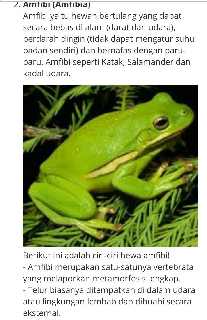36+ Paling Keren Sebutkan Ciriciri Hewan Ovipar Brainly