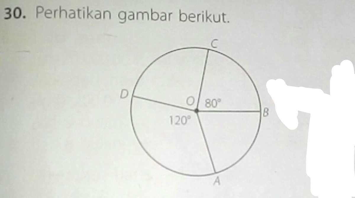 Pada gambar tersebut, diketahui O adalah pusat lingkaran. Jika luas