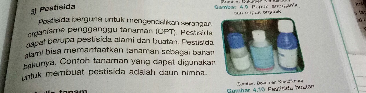 Berguna Untuk Mengendalikan Serangan Organisme Pengganggu Tanaman Obat Disebut Brainly Co Id