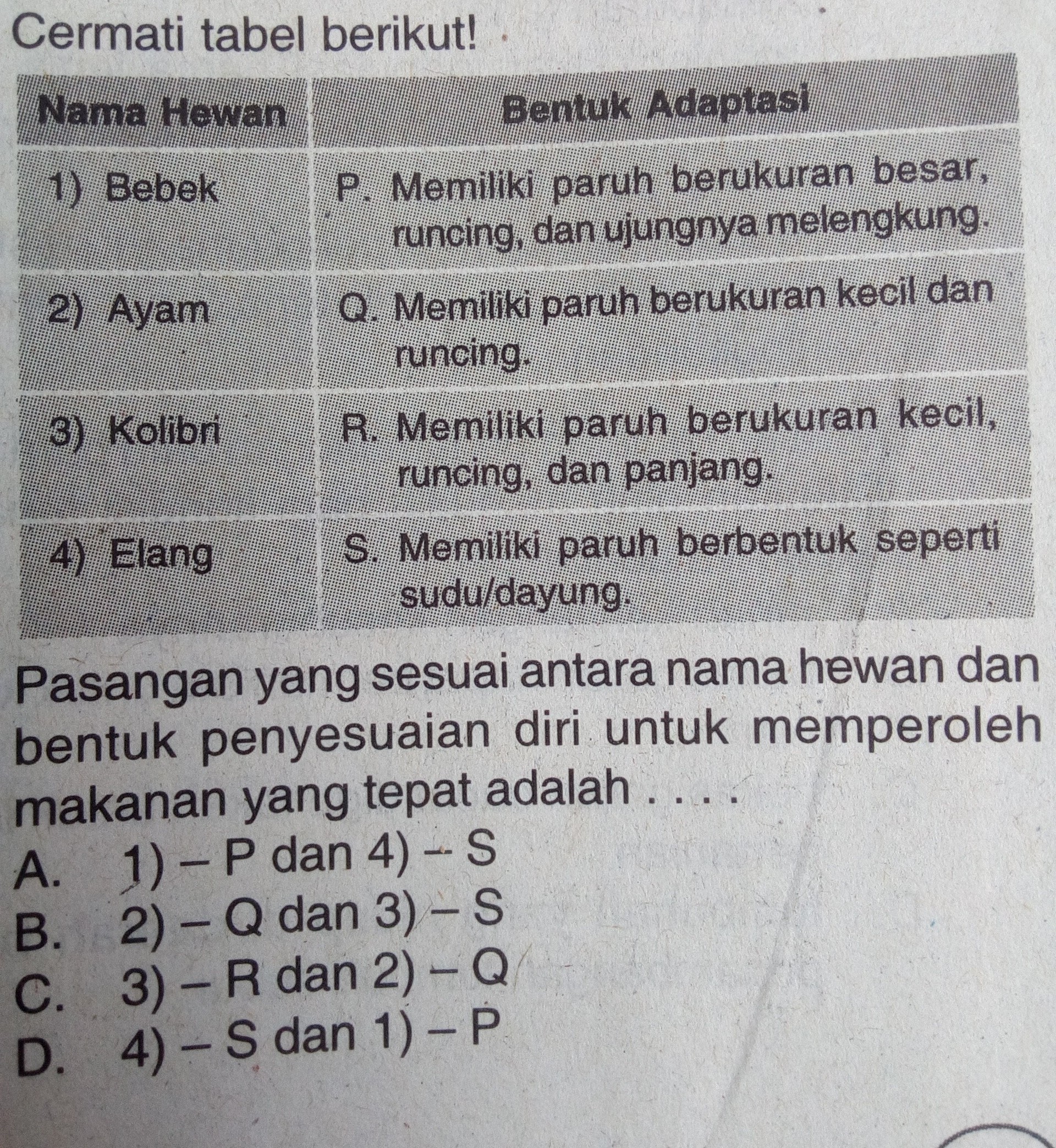 18+ Pasangan Yang Tepat Antara Jaringan Hewan Dan Fungsinya Adalah