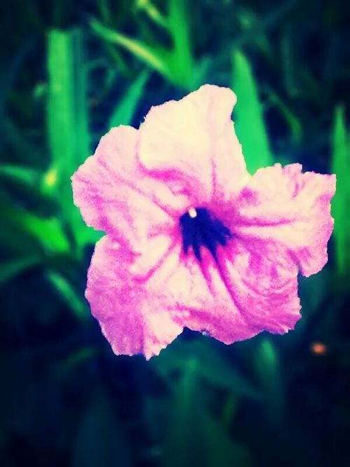 Hasil Pengamatan Kepada Pesinden Agar Suara Terdengar