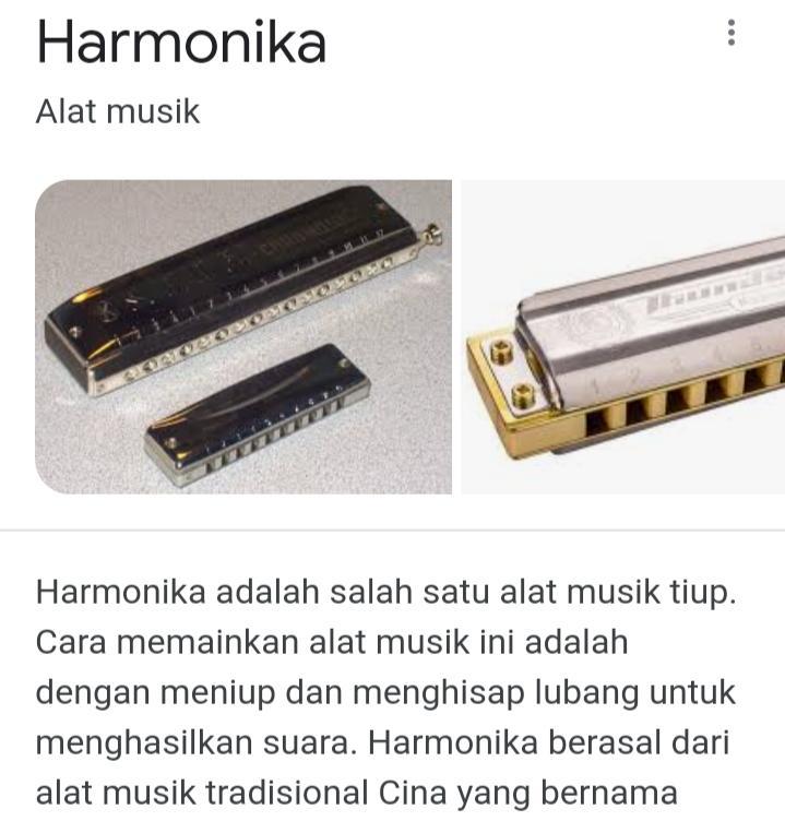 Gambar Alat Musik Harmonika Review 10 Rekomendasi Harmonika Terbaik