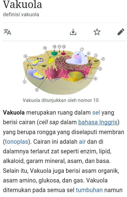 Hewan Yang Berkembangbiak Dengan Cara Membelah Diri