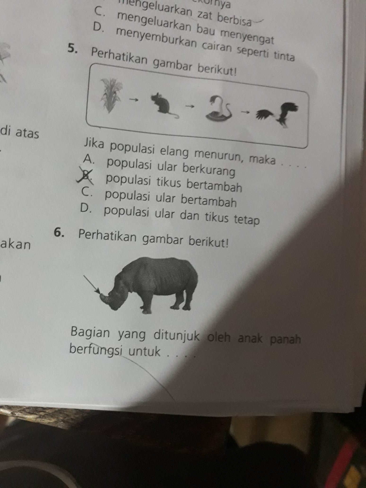 perhatikan gambar berikut! Bagian yang ditunjuk oleh anak