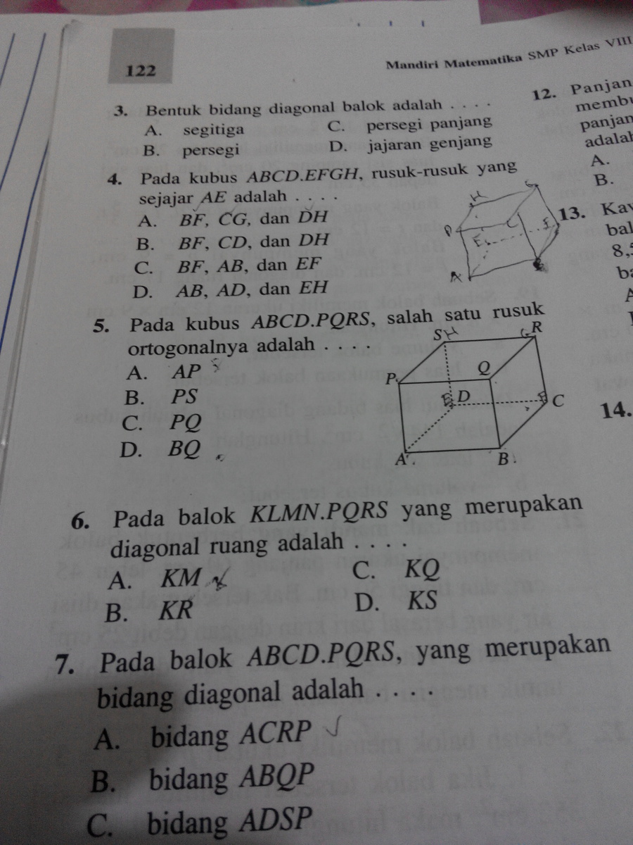 ini yg mana si rusuk ortogonal. btw rusuk ortogonal apaan