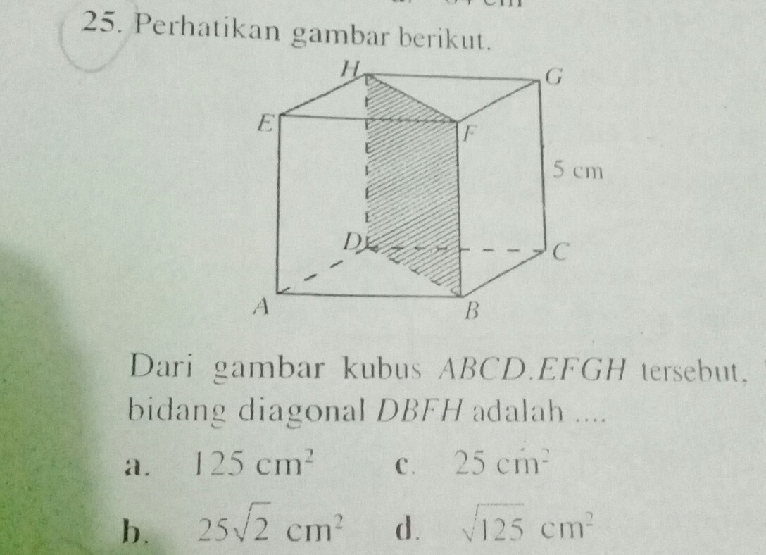 perhatikan gambar berikut. dari gambar kubus ABCD.EFGH tersebut, luas