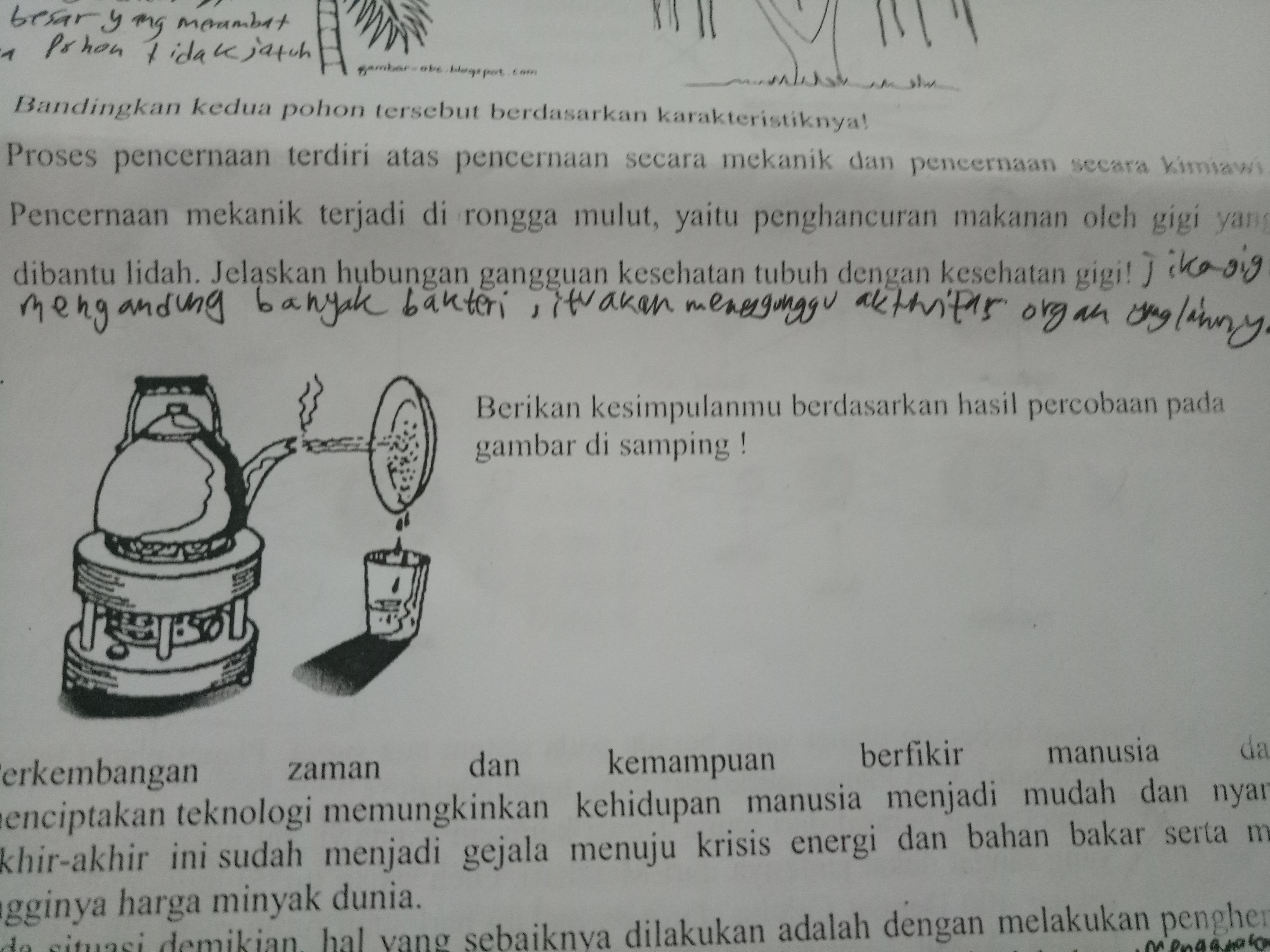 Apa Kesimpulanmu Dari Percobaan Ini Nuring