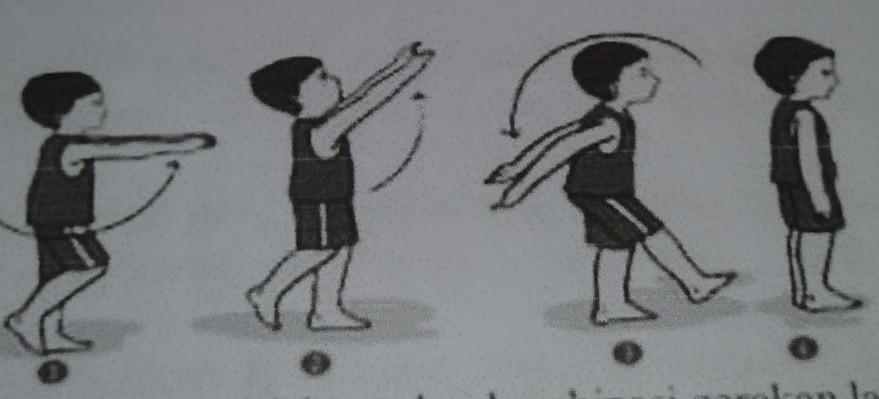 24. Perhatikan gambar berikut ini Gambar di atas adalah gambar