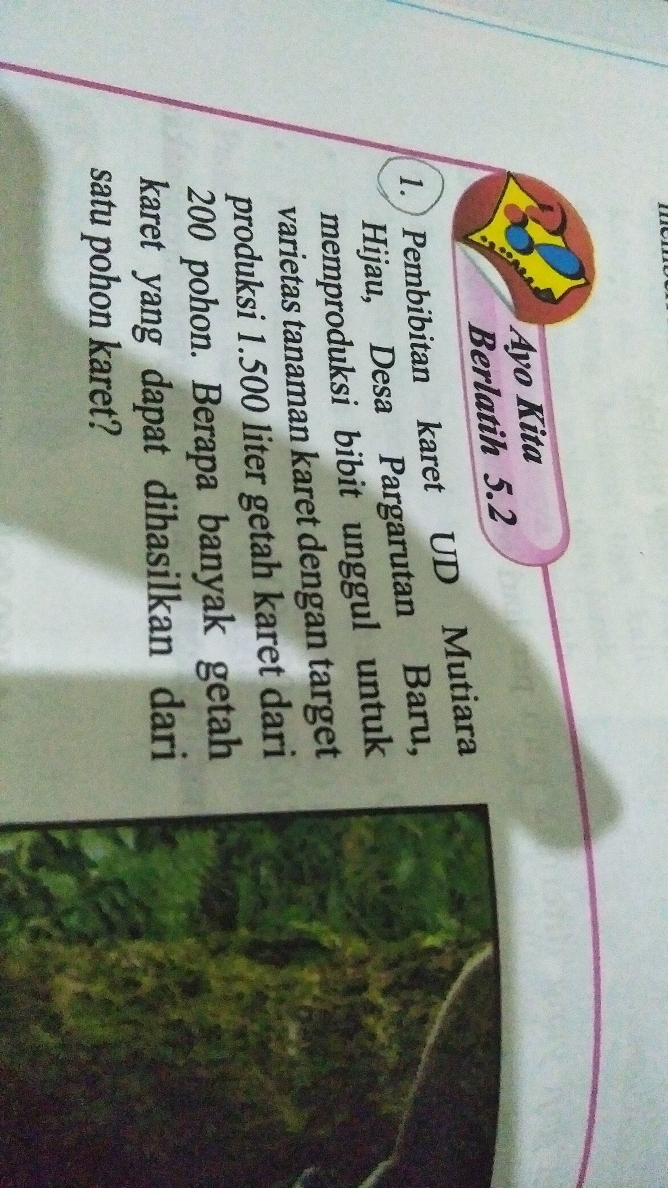 Pembibitan Karet Ud Mutiara Hijau Desa Pargarutan Baru