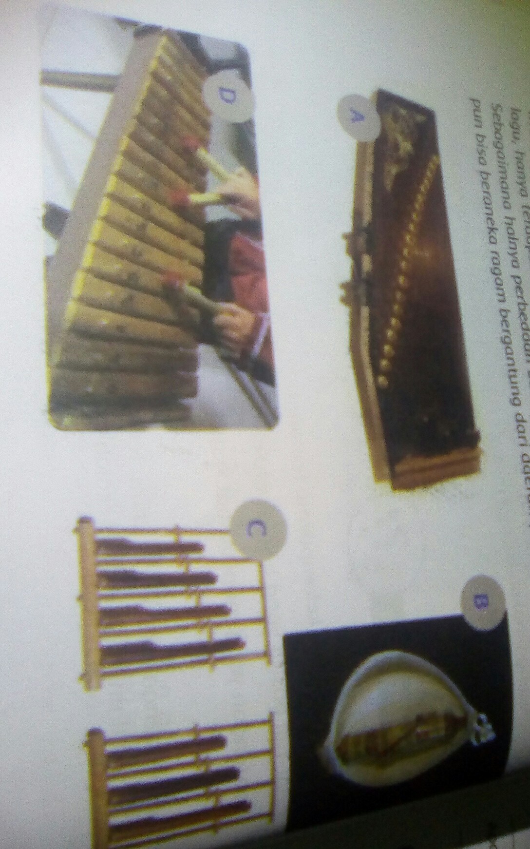 Alat Musik Sasando Berasal Dari Daerah Brainly Berbagai Alat