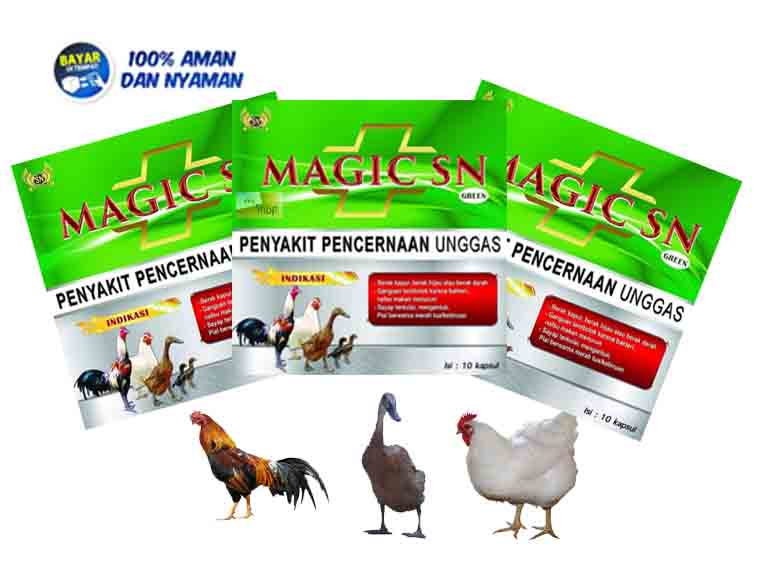 1 Sachet Magic Sn Green Obat Penyakit Pencernaan Unggas Ayam Bebek Lazada Indonesia