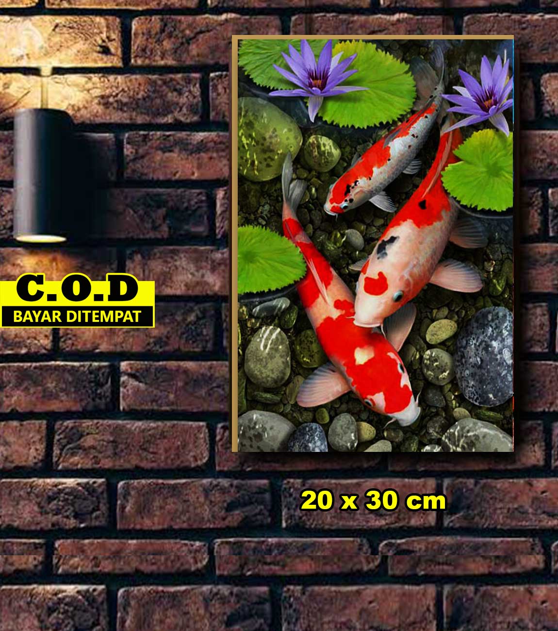 Poster Ikan Cupang Gambaran