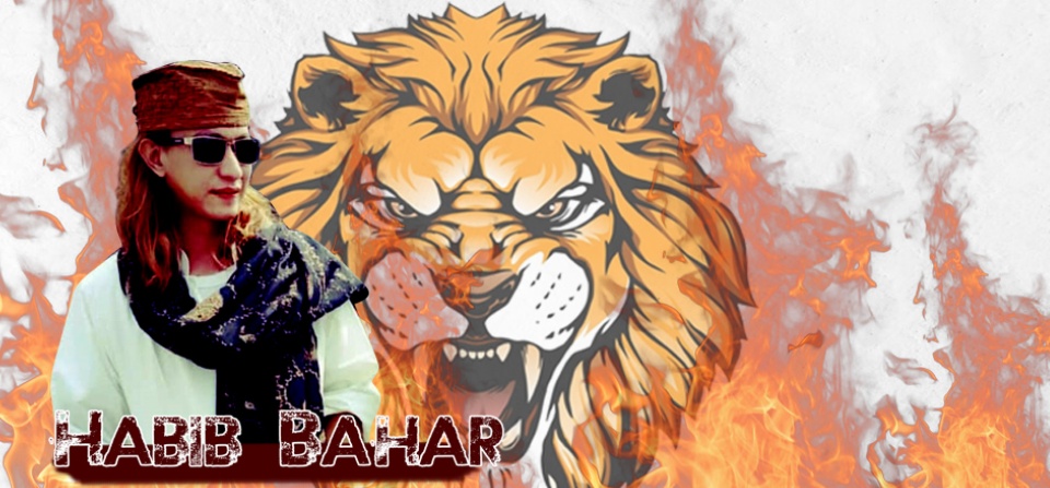 Foto Habib Bahar Wallpaper Hd Nusagates