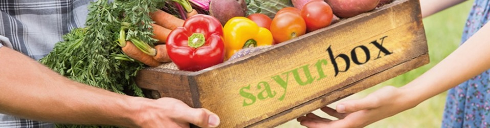 Lowongan dan Karier PT Kreasi Nostra Mandiri, Ulasan