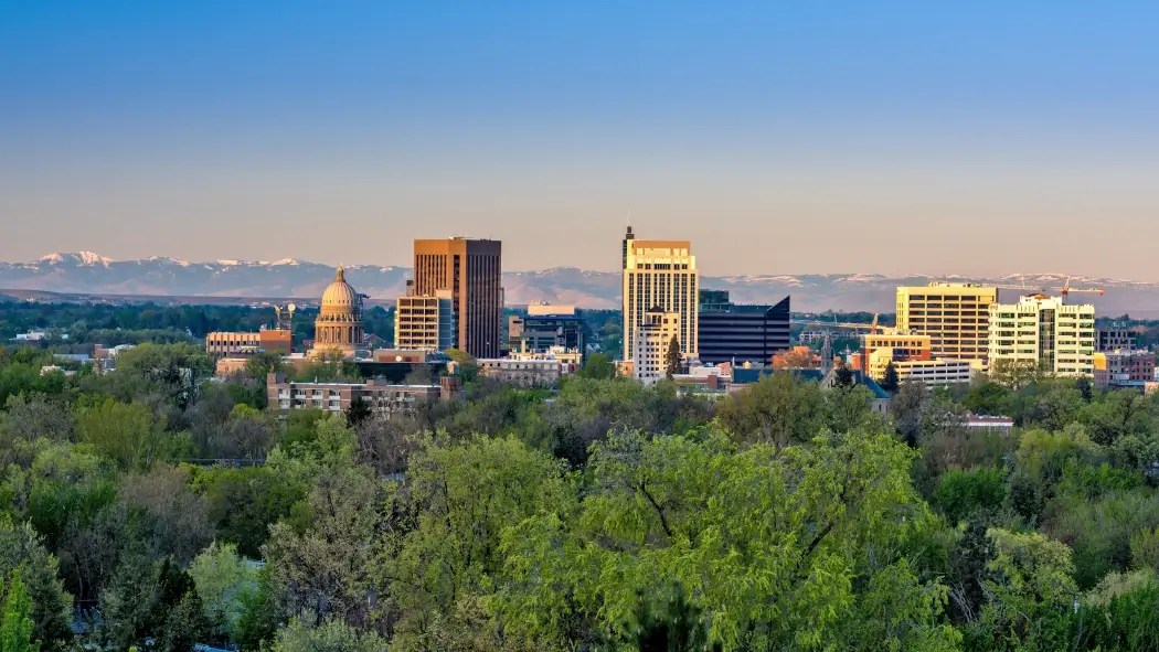 Boise Idaho Beeline Pest Control of Idaho