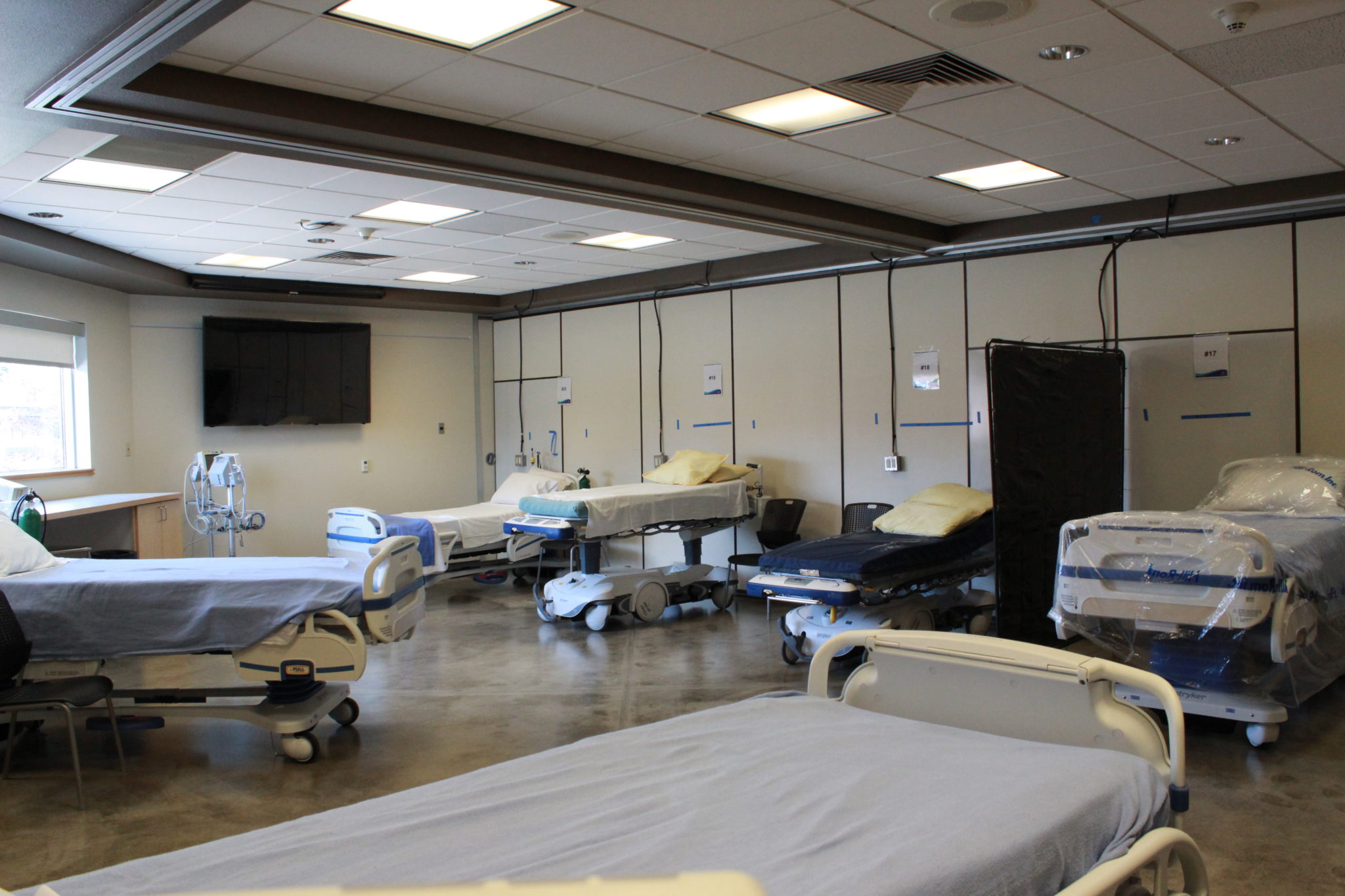 Idaho enters grim 'crisis' period. Hospitals statewide on verge of