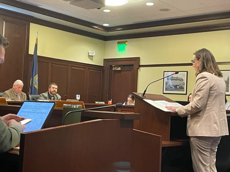 Idaho House committee introduces bill to prohibit new Medicaid waivers