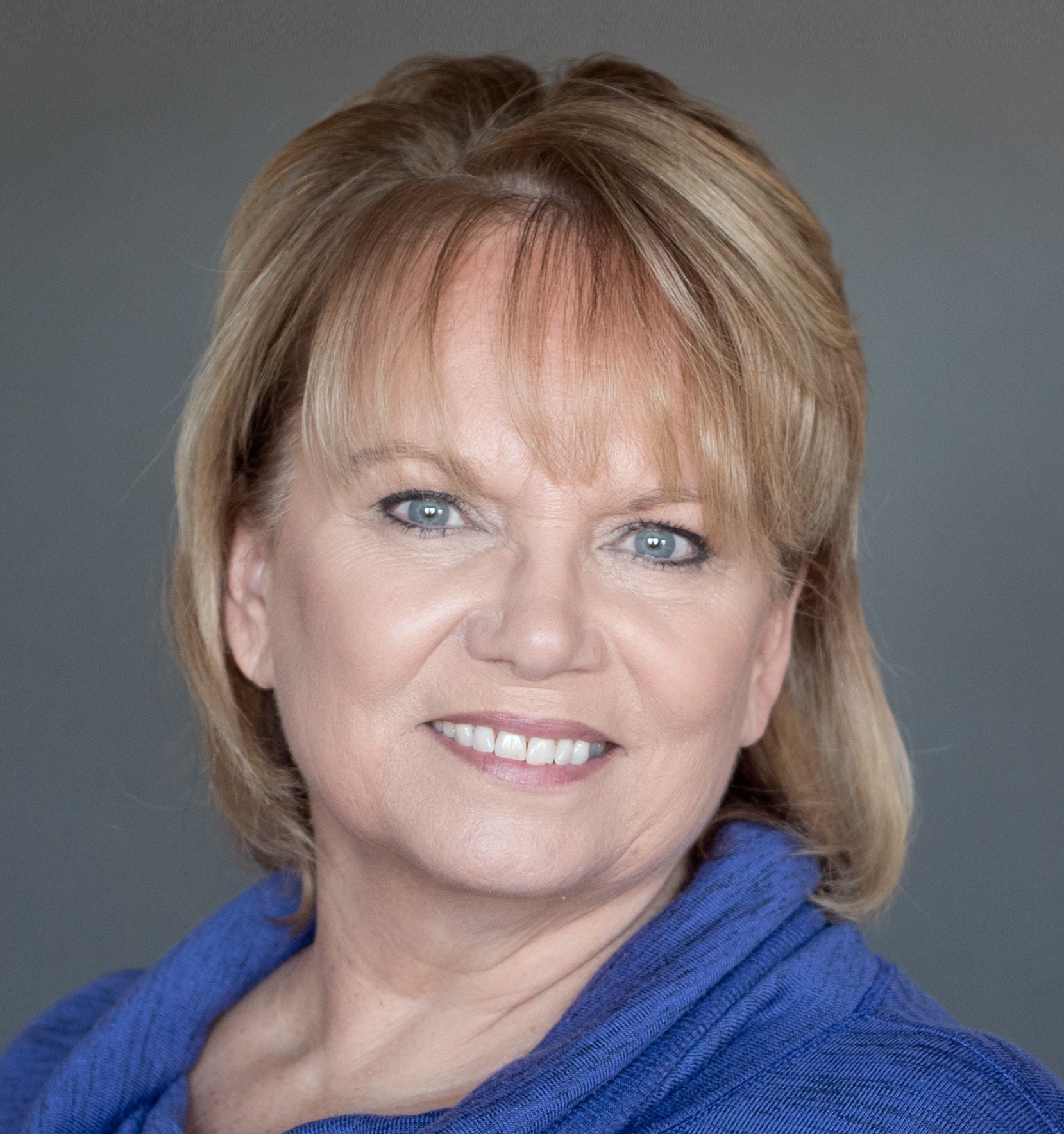 Assessor Official Idaho County Site