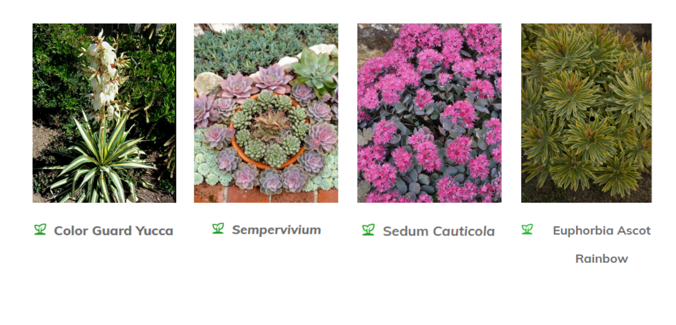 12 Projects That Will Transform Your Yard on a Budget Idaho Falls