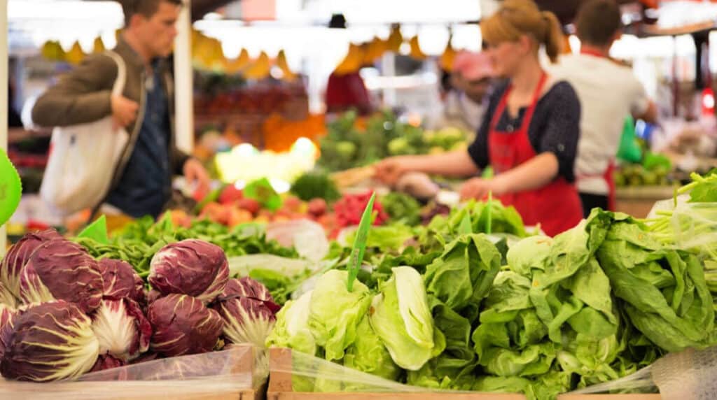 12 Best Things to Do in Nampa Idaho A Local's Guide