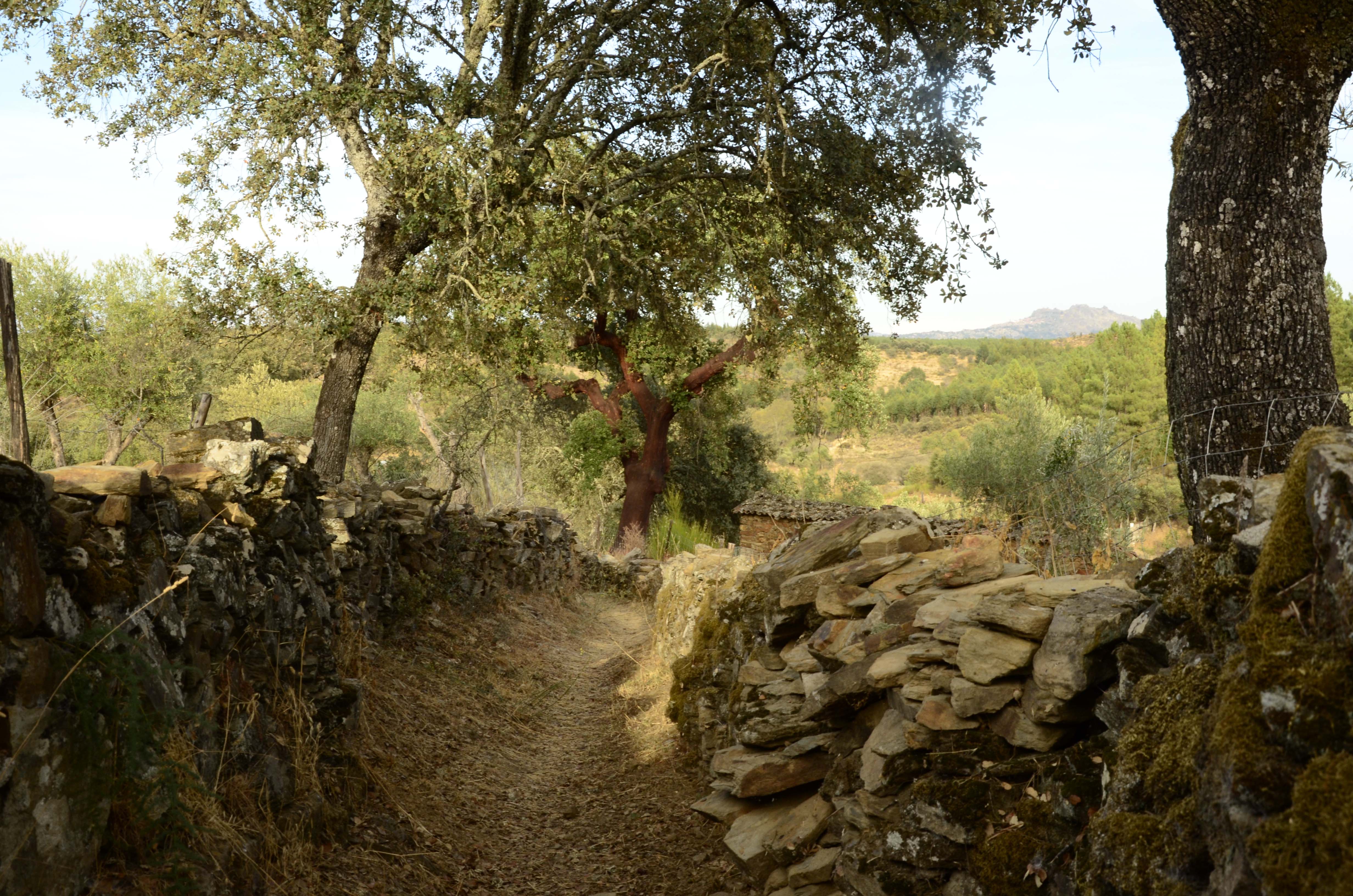 Idanha Viva pela proteção de idanhaanova, única na sua natureza