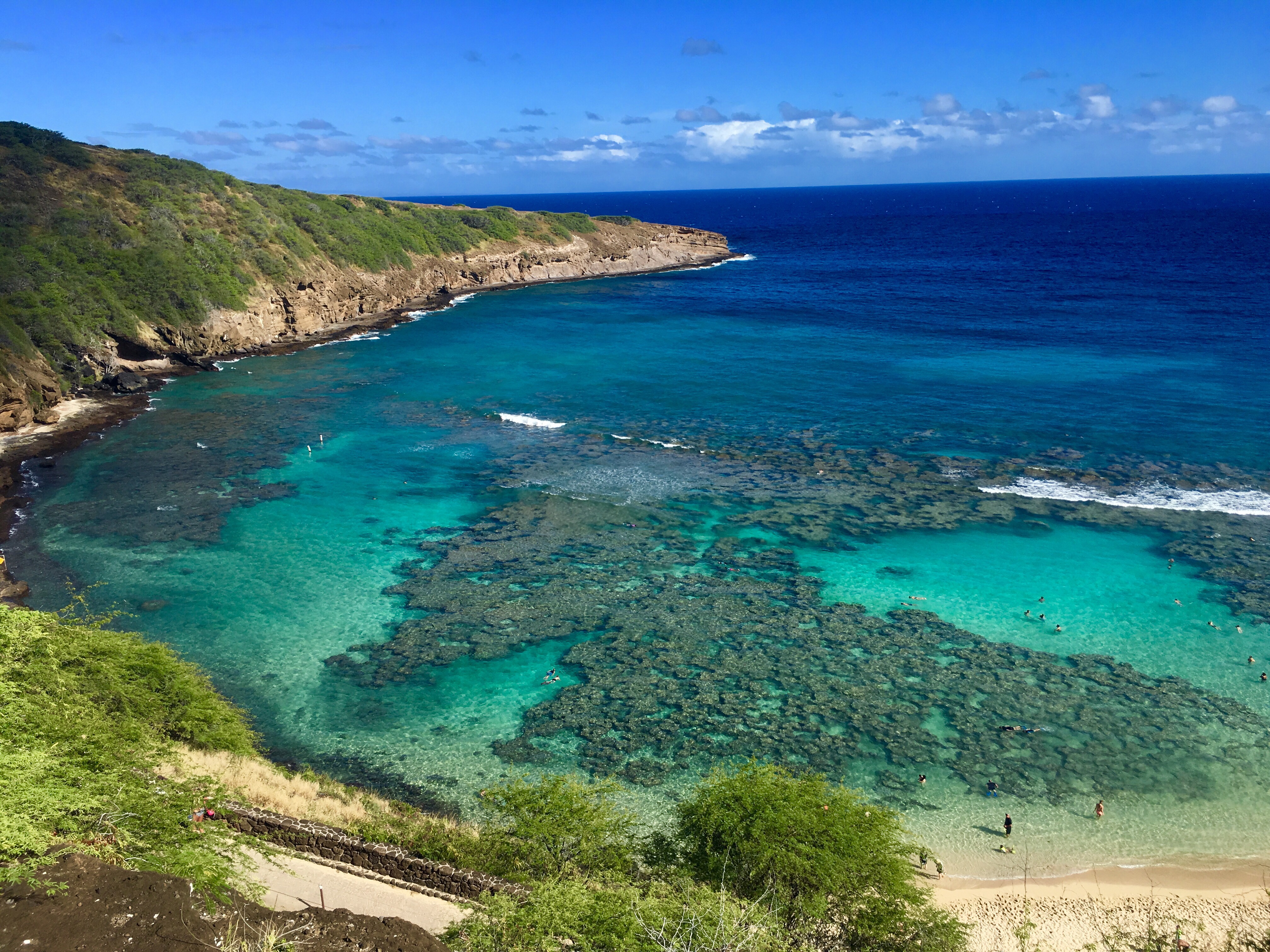 Waikiki og Hanauma Bay REISEFEBER