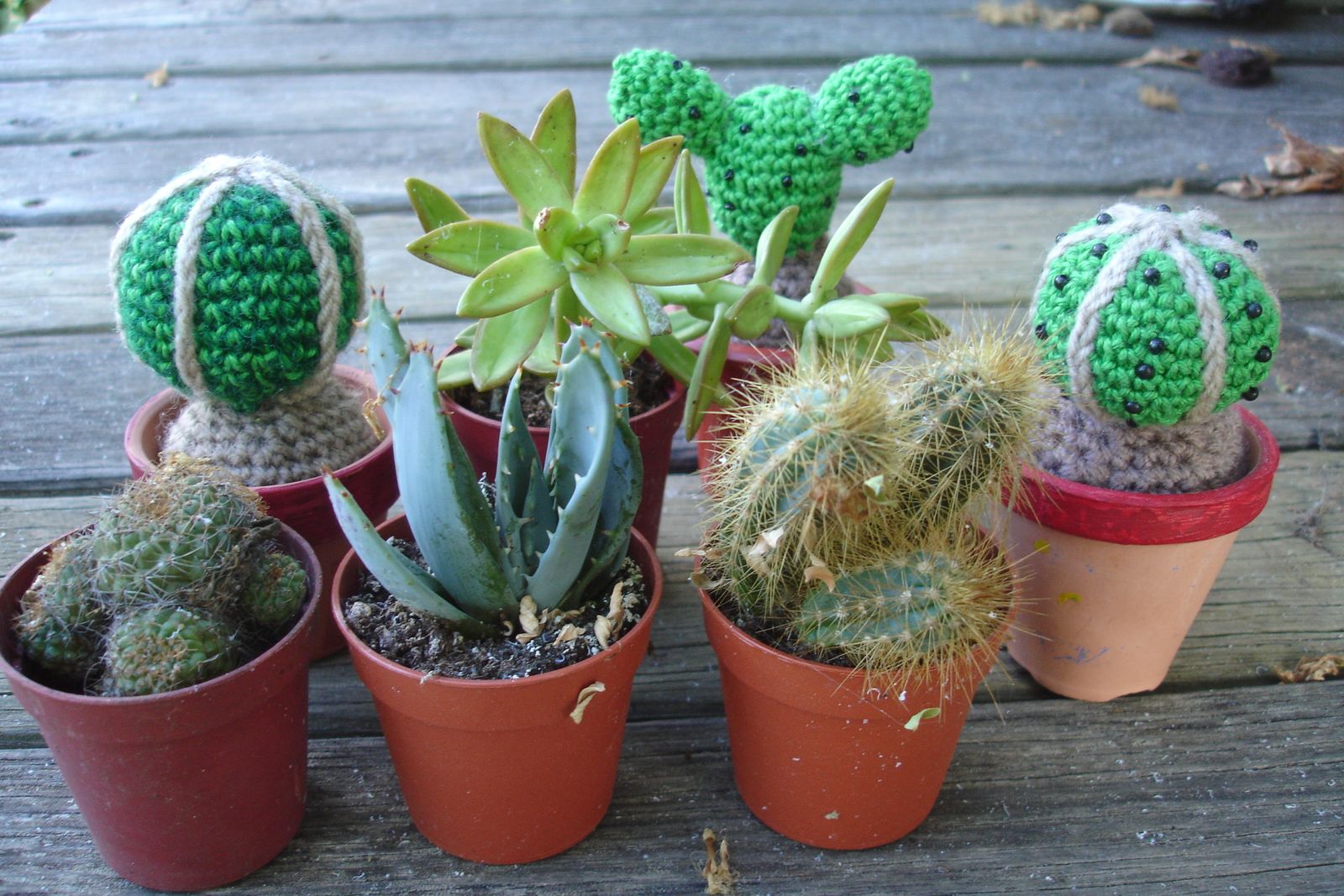 Cactus au crochet DIY modele tuto gratuit Fils de Lilou tricot