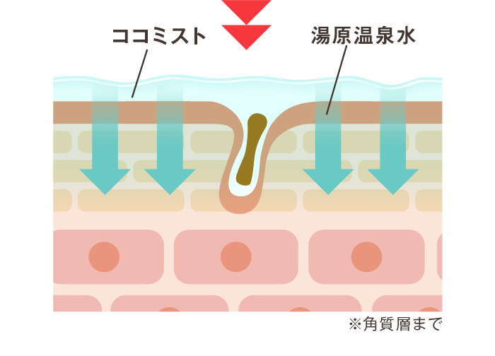 【口コミ】溺愛コスメココミストの効果的な使い方！毛穴ケア美容液を体験