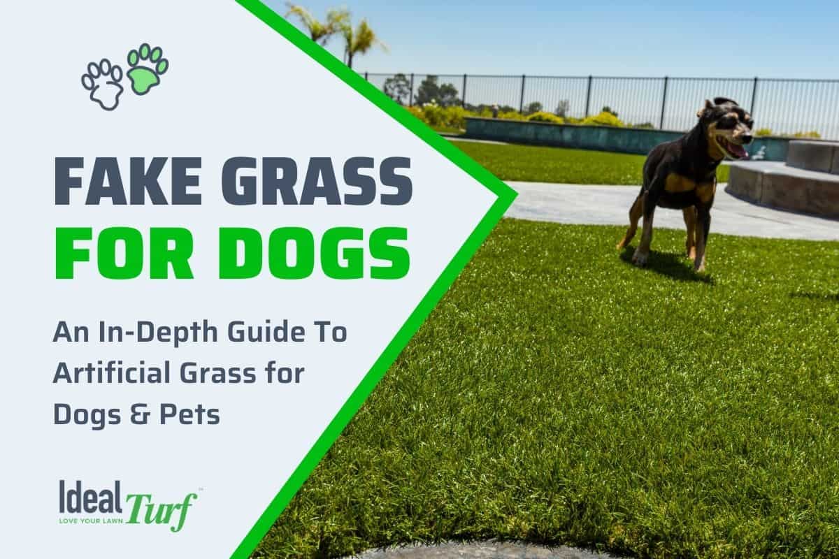 Fake Grass for Dogs The Ultimate Pet Turf Buyer's Guide