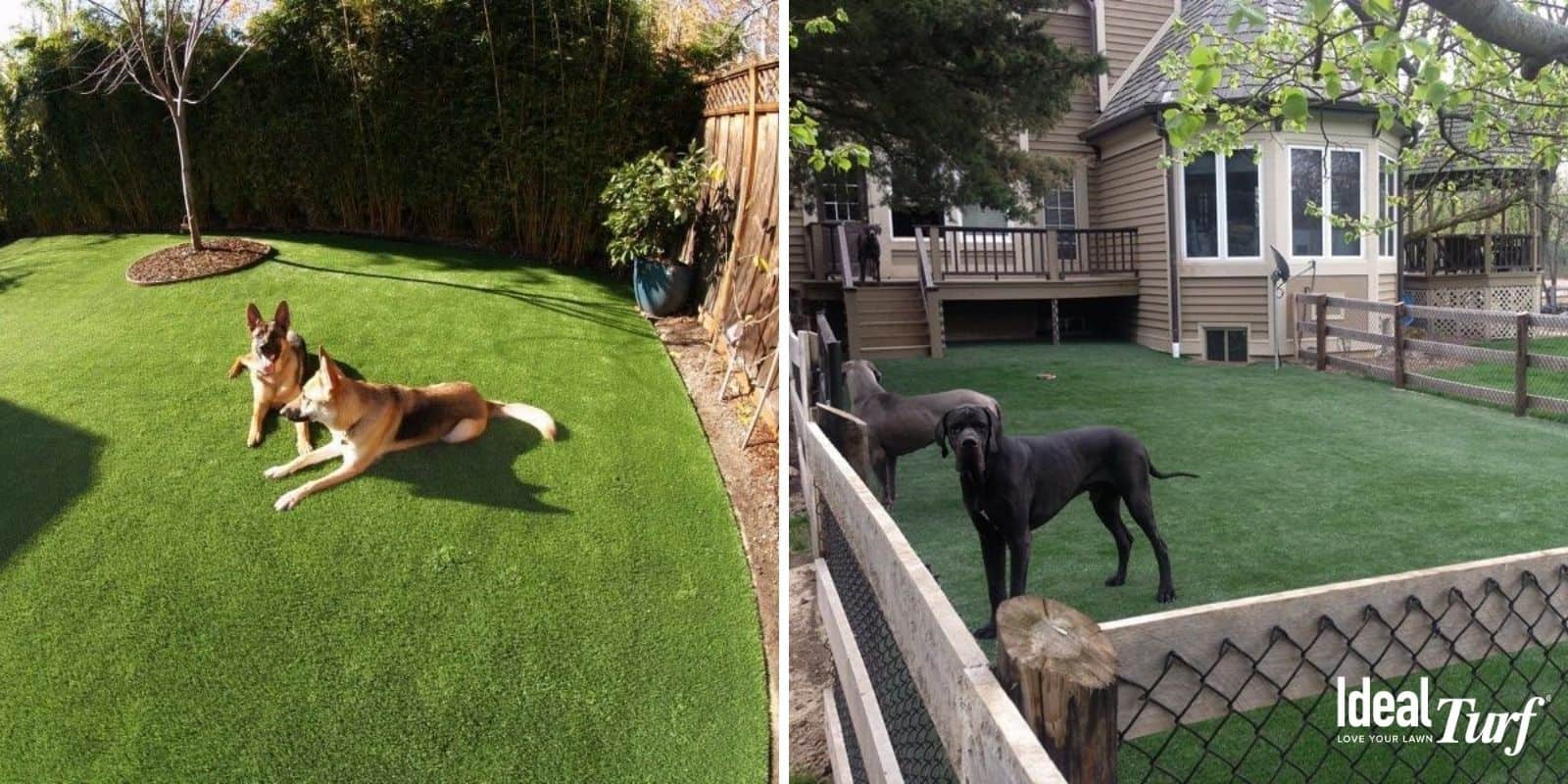 What is the best material to use for a dog run? Here’s What to Expect