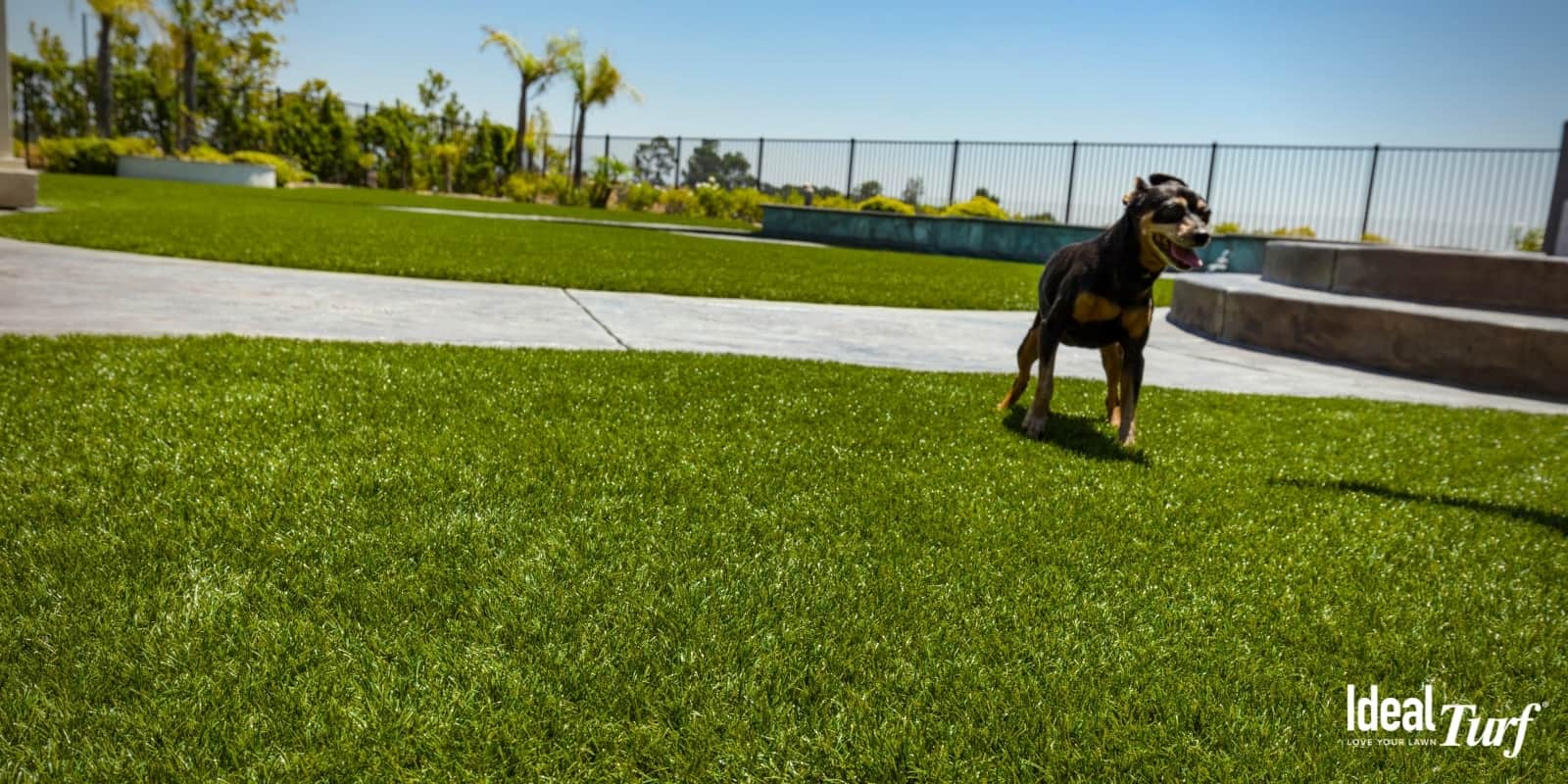 Is Artificial Grass Worth The Money? Is It A Good Investment?