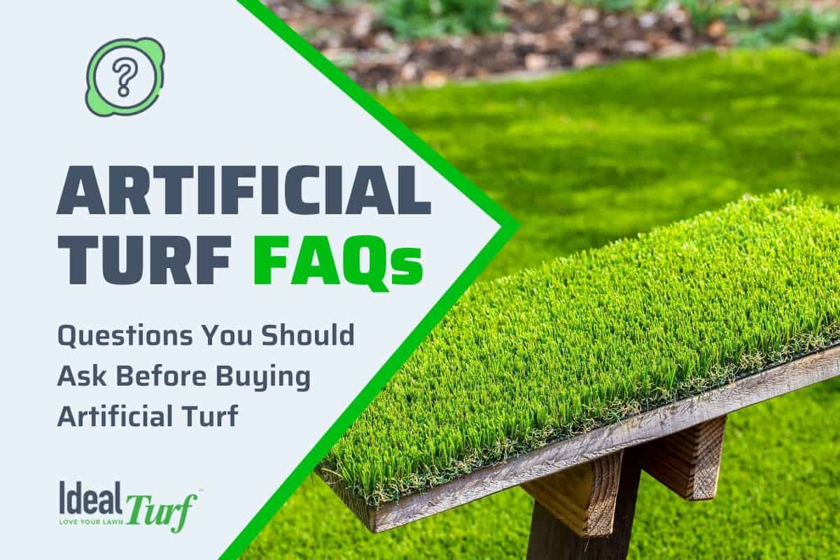 33 Questions You Should Ask Before Buying Artificial Turf