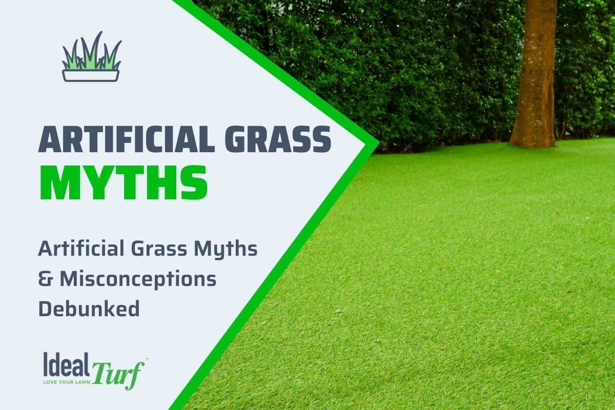 Artificial Grass Myths Debunking The 10 Most Common