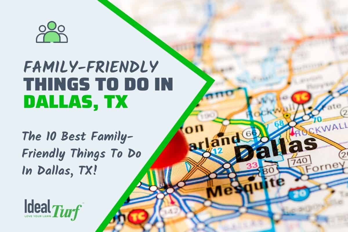 10 Best FamilyFriendly Things To Do In & Around Dallas, TX