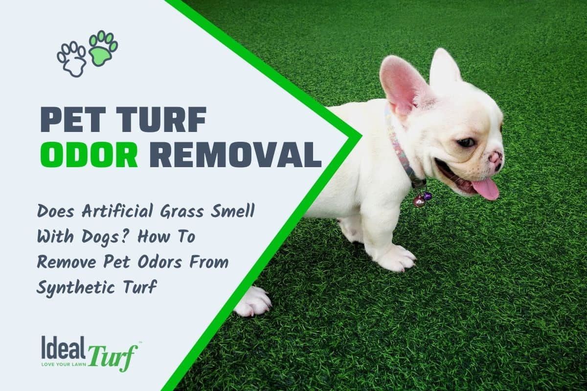Pet Turf Odor Removal Does Artificial Grass Smell With Dogs?