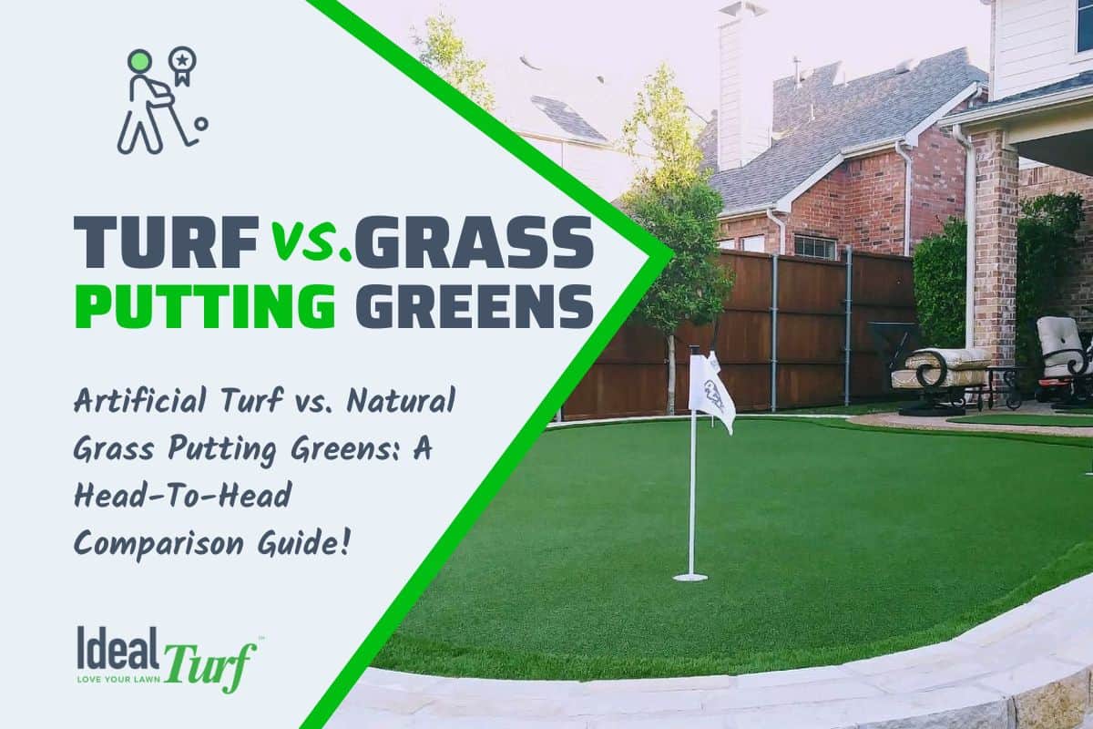 Artificial Turf vs. Real Grass Putting Greens Buyer's Guide