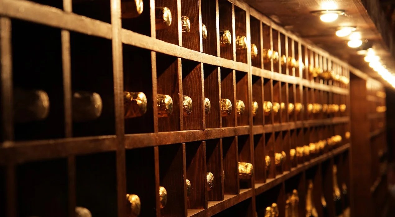 CHAMPAGNE 101 Champagne Region and Vintage vs Non Vintage