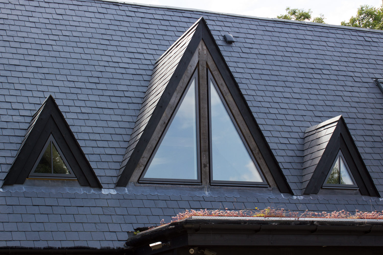 Raked windows from UK sloping, angled & triangle windows