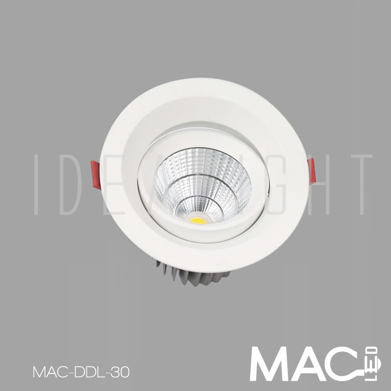 LED Round Directional Downlight Idealight