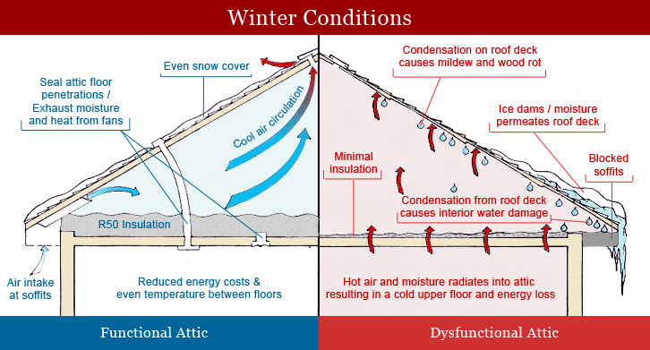 attic insulation diagram positives ventilation