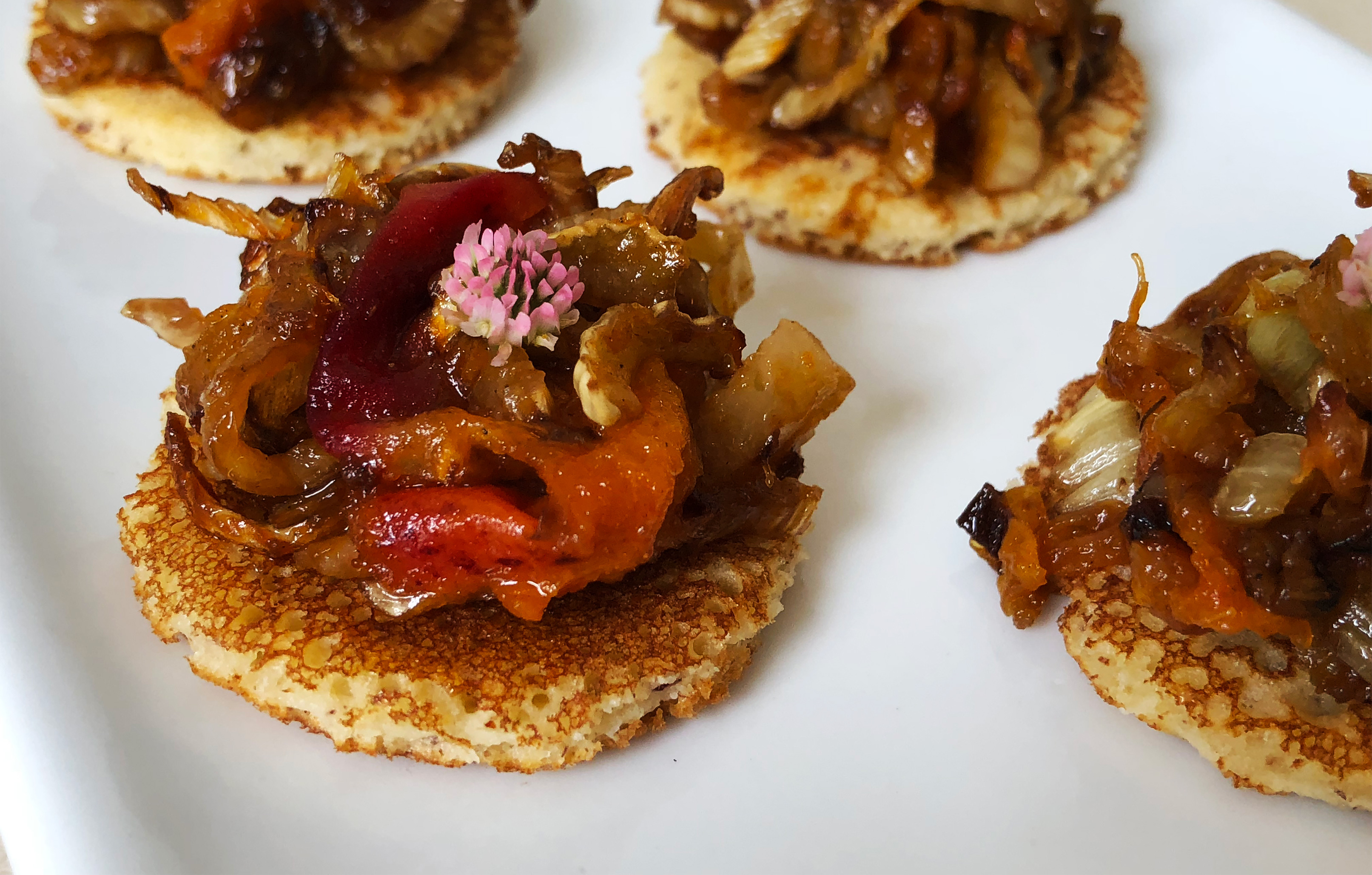 Caramelized Fennel and Apricot Chutney Recipe Idealist Foods