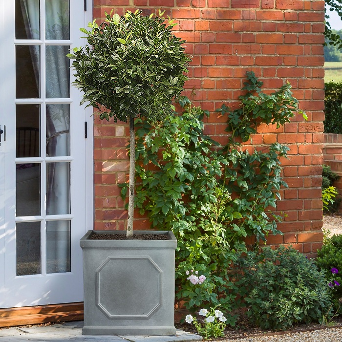 Extra large plant pots buy very large garden planters UK IDEALIST