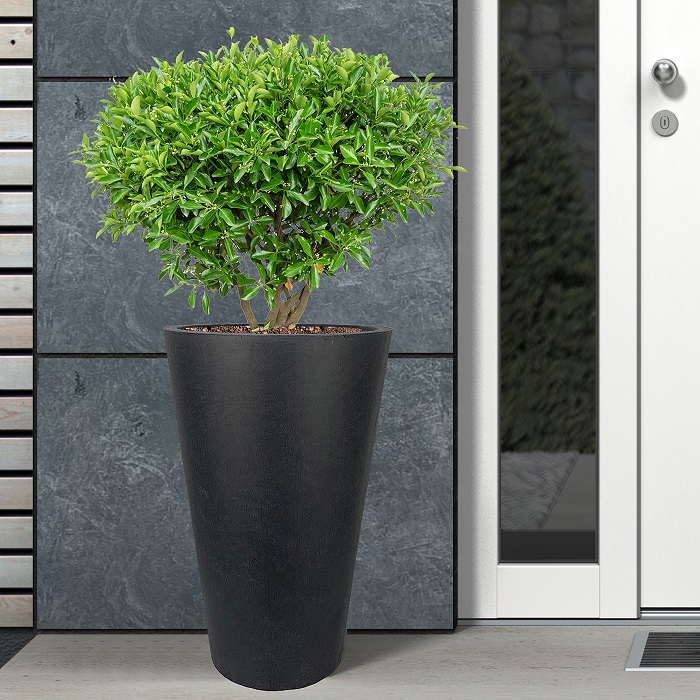 Tall garden planters buy vertical plant pots online UK IDEALIST