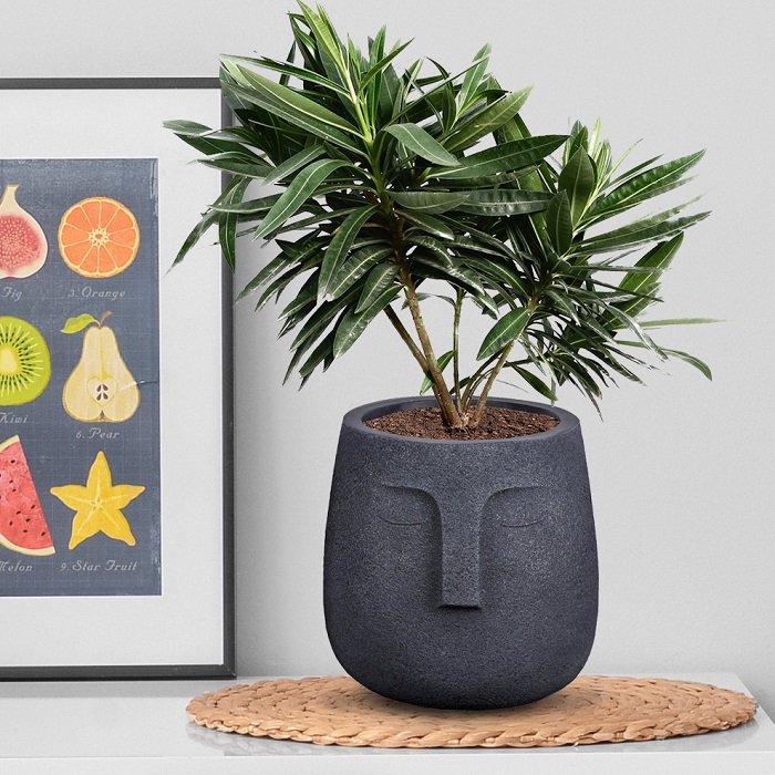 Indoor planters buy flower pots for house plants online UK IDEALIST