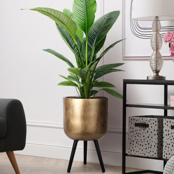 Indoor planters buy flower pots for house plants online UK IDEALIST